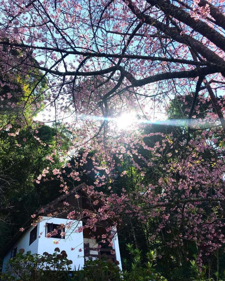 Pousada Sítio Portal da Travessia Visconde De Maua Exterior foto